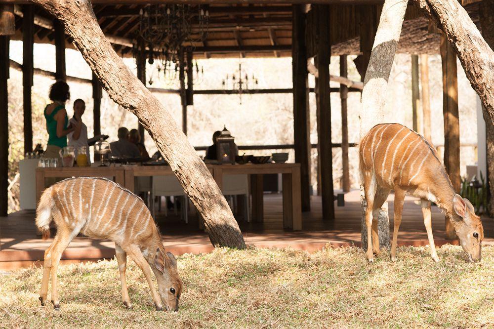 Moditlo River Lodge Hoedspruit Ngoại thất bức ảnh