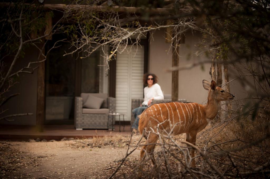 Moditlo River Lodge Hoedspruit Ngoại thất bức ảnh
