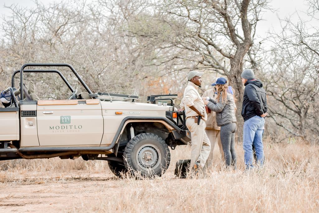 Moditlo River Lodge Hoedspruit Ngoại thất bức ảnh